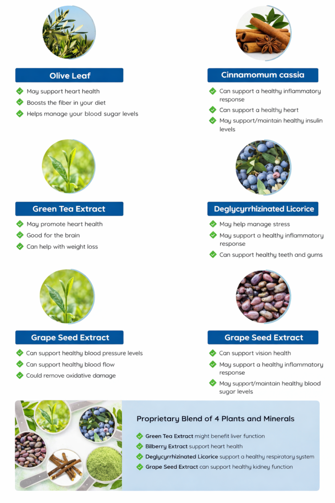 neuro surge supplement reviews and ingredients