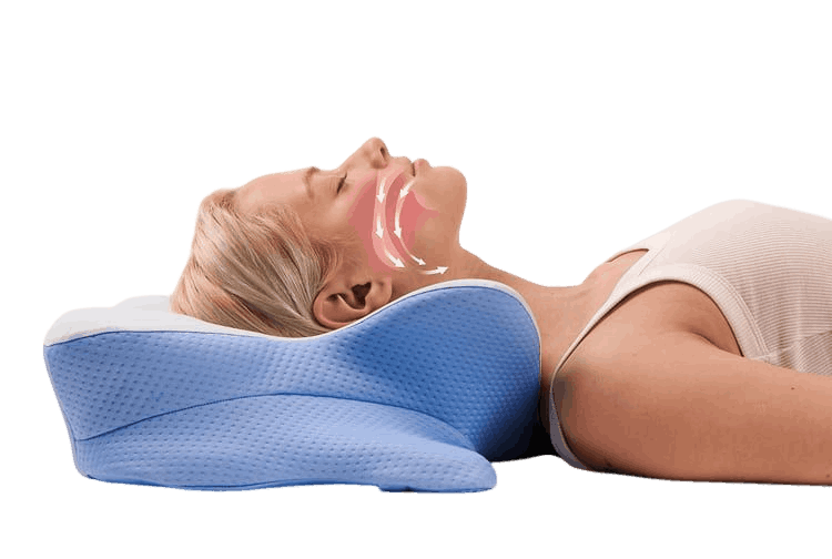 derila ergo pillow buy online