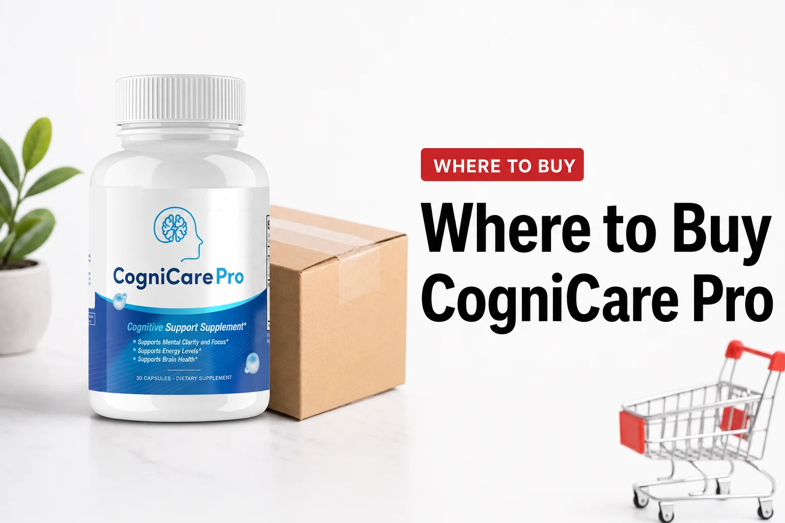 Editorial review thumbnail of CogniCare Pro bottle with the text 'where to buy cognicare pro'
